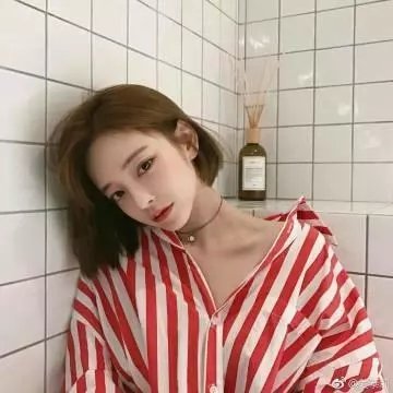 粉红理论